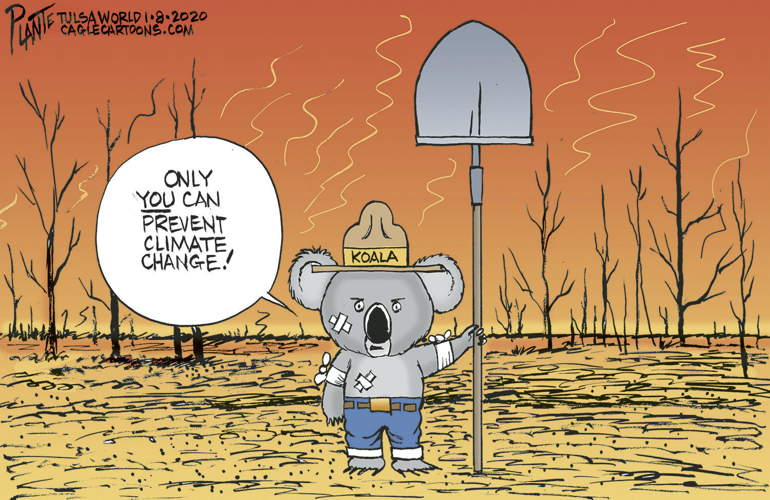 Bruce Plante Cartoon: Koalas in firestorms
